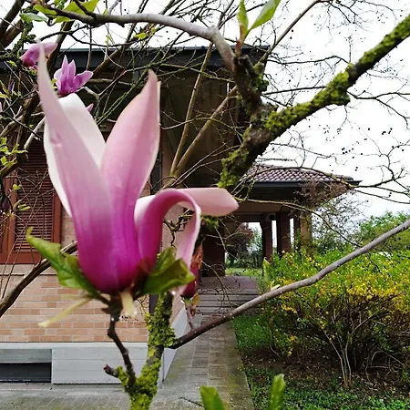 Çiftlik konaklama I Quercioli *