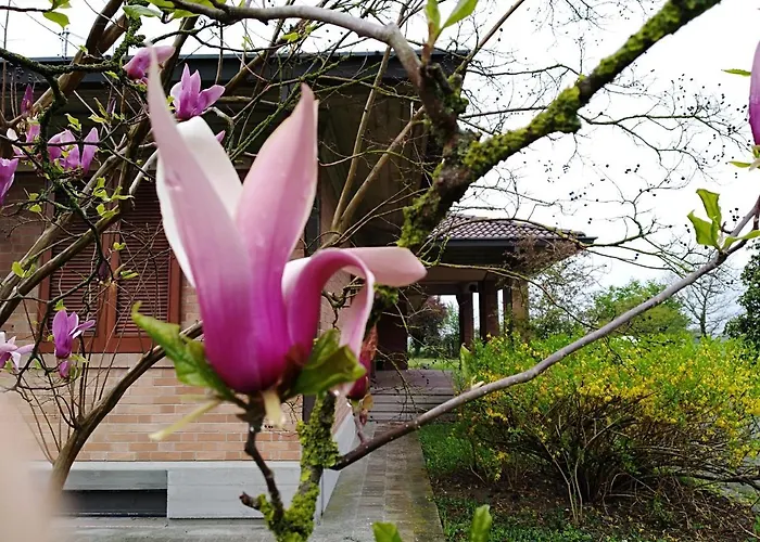 Farm stay I Quercioli *